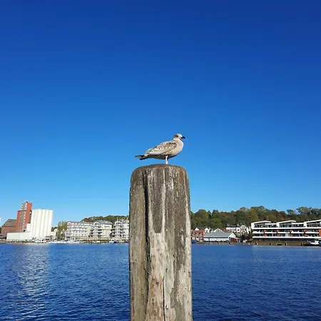 Stylish Ground-floor Apartman